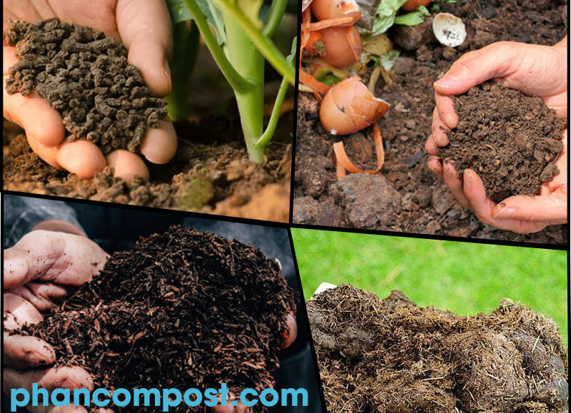 Xử lí chất thải thành compost phục vụ cho nông nghiệp sạch hữu cơ