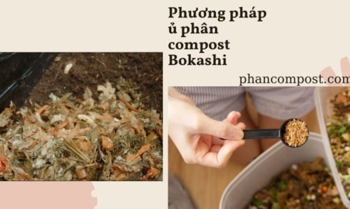 Phương pháp ủ phân compost Bokashi- Lựa chọn tốt cho nông nghiệp hữu cơ