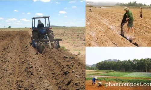 Phương pháp làm đất hiệu quả trong nông nghiệp hữu cơ