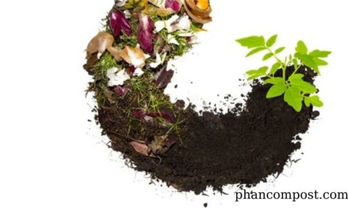 Cách ủ phân hữu cơ hiệu quả và thông dụng cho nhà nông áp dụng